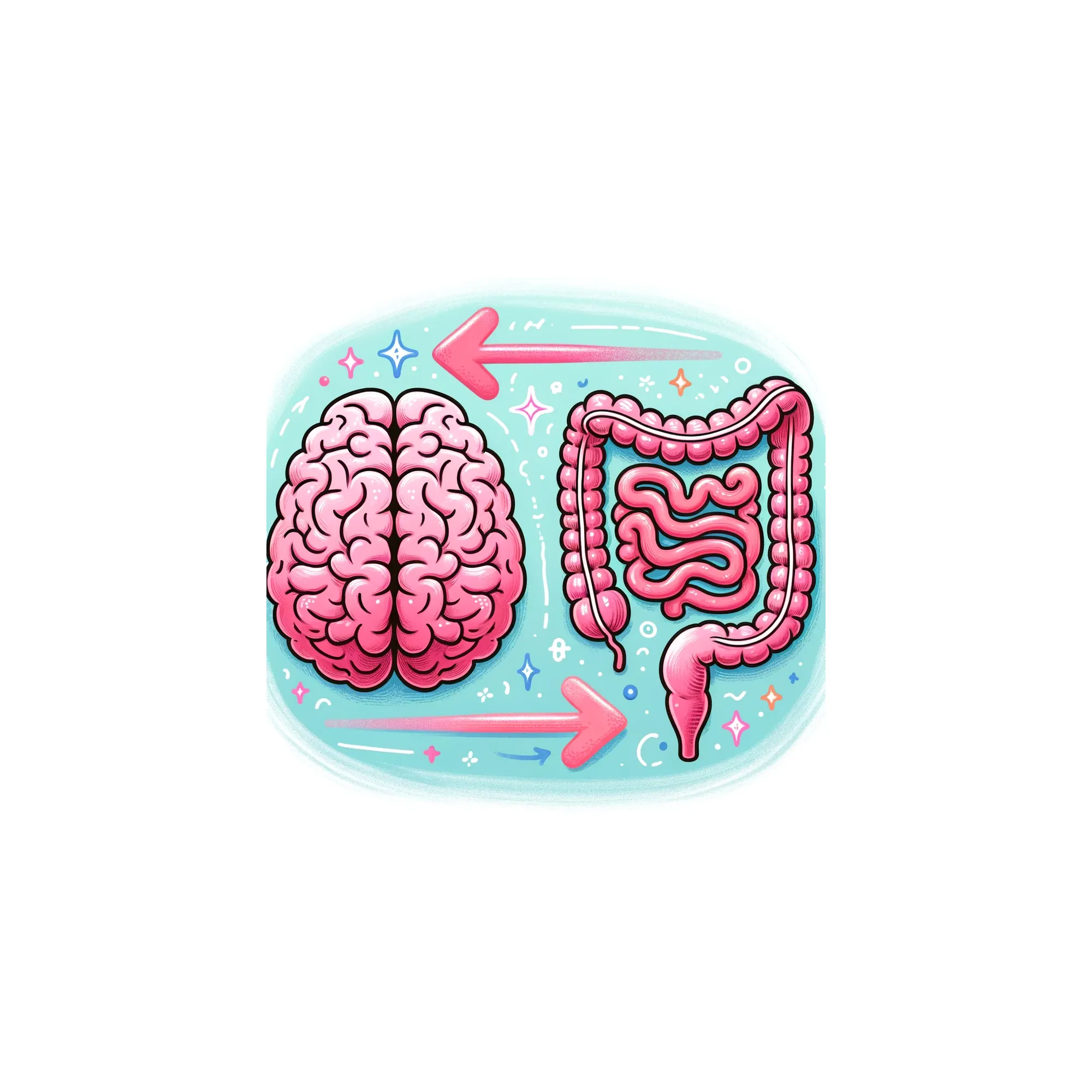 Een gezonde buikbrein communicatie